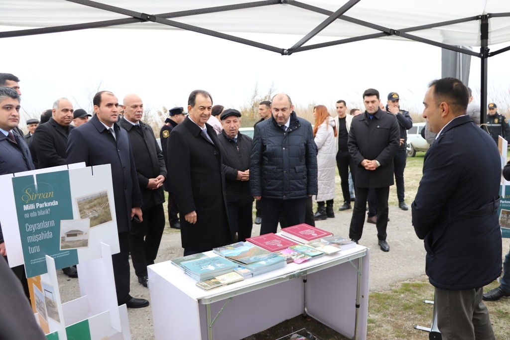 Lənkəranda "II Flaminqo Festivalı" keçirildi - FOTOLAR